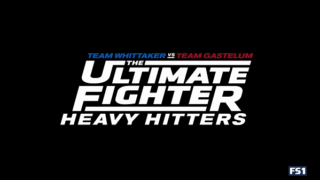 The Ultimate Fighters S28E03 Heavy Hitters