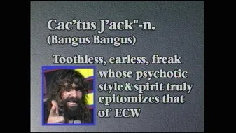 ECW_Hardcore_TV_ECW_Hardcore_TV_S1995_E4_1995-01-24_SHD