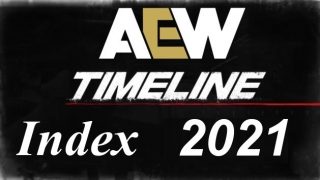 TimeLine AEW 2021 Collection