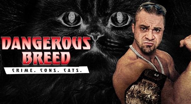 Watch Dangerous Breed Crime Cons Cats S1E1nE2nE3 Episode 1, 2 and 3 Online Full Show Free