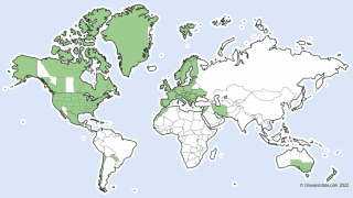 Live Shows : 2023 Timezone Changes