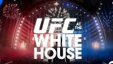 June 13th & 14th MMA Bxxing